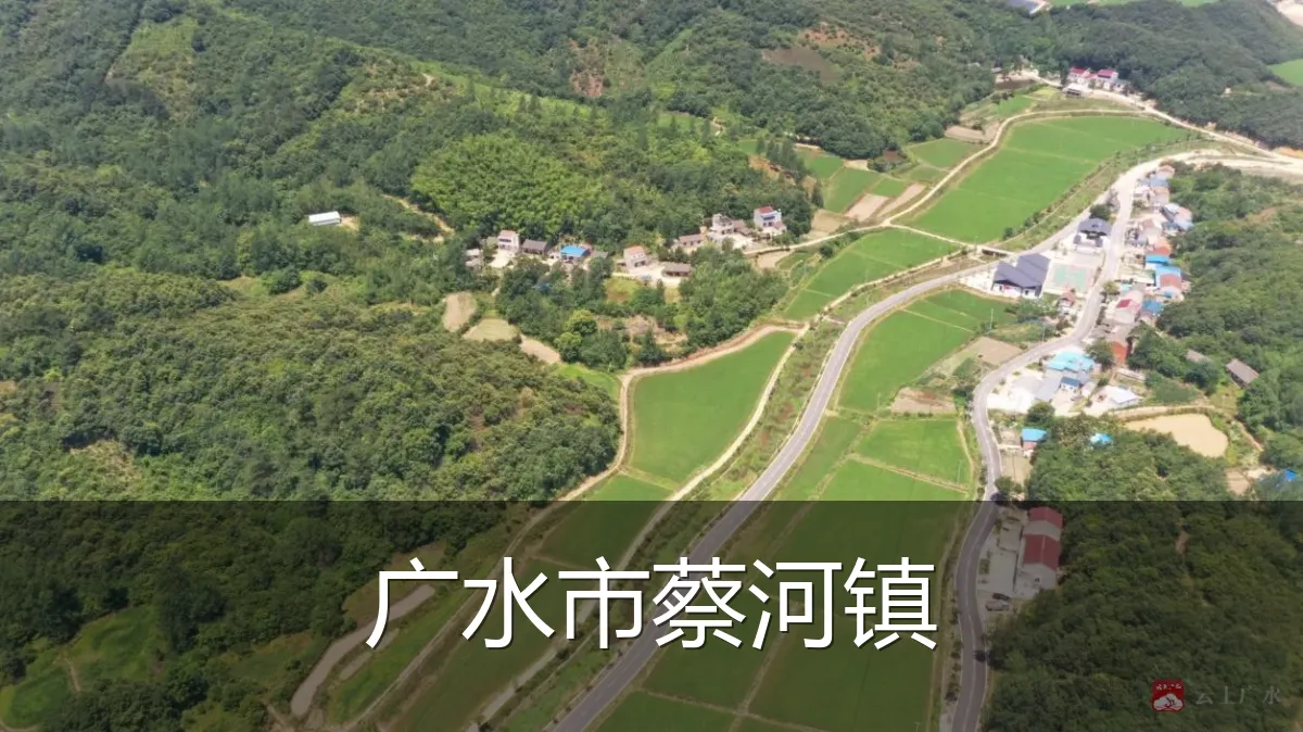 广水市蔡河镇